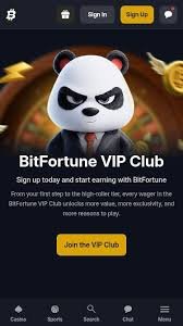 High-Volatility Slots to Try at Bitfortune -1204147215