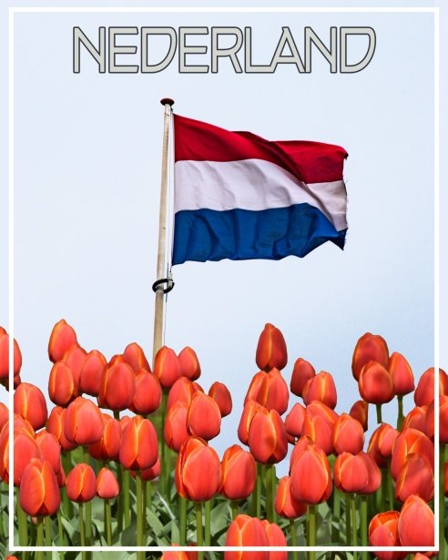 Professioneel Financieel Advies in Nederland Vind de Juiste Oplossingen