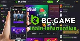 Download the BC.Game App for an Enhanced Gaming Experience