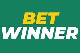 Exploring the Features and Benefits of BetWinner Casino