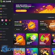Understanding the BC.Game Login Process A Comprehensive Guide 718166504