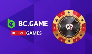 Understanding the Privacy Policy of BC.Game India
