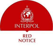 Understanding the Role of Red Notice Removal Lawyers 1327398520